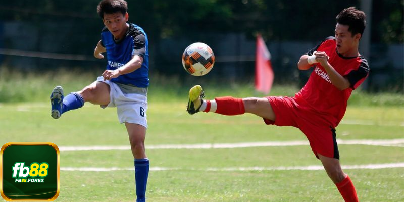 Có nên đánh bóng cỏ hay không?